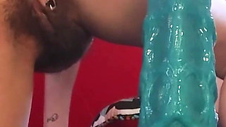 Gapey Experiments Gone Wild