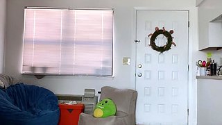 webcam camgirl cam brunette masturbate masturbation