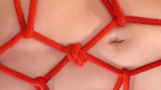 Booty Girl Gets Multiple Creampies From BBC